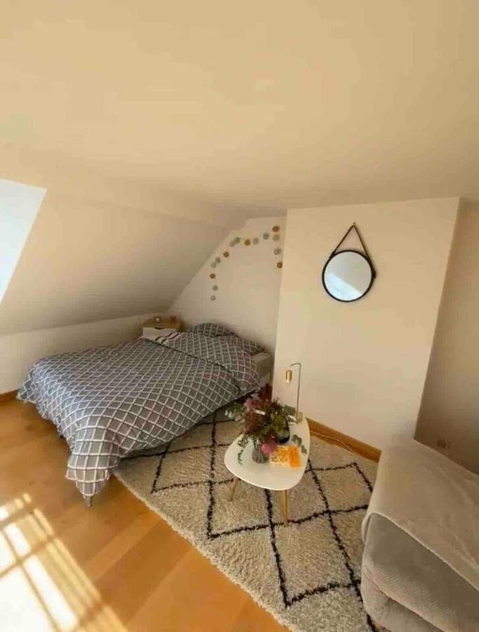 Logement Centre Ville 1 A 4 Chambres อาล็องซง ภายนอก รูปภาพ
